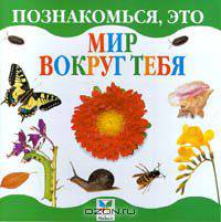 Мир вокруг тебя