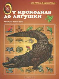 От крокодила до лягушки