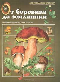 От боровика до земляники