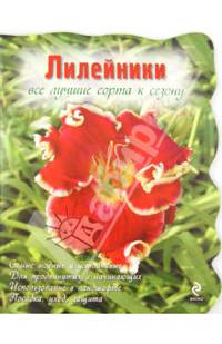 Лилейники. Все лучшие сорта к сезону (Вырубка. Цветы в саду и на окне (обложка))