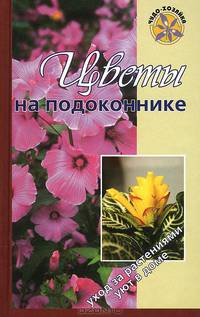 Цветы на подоконнике