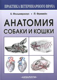 Анатомия собаки и кошки