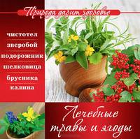 Природа дарит здоровье. Лечебные травы и ягоды