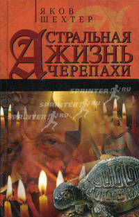 Астральная жизнь черепахи: Наброски эзотерической топографии. Книга первая - (Готика)