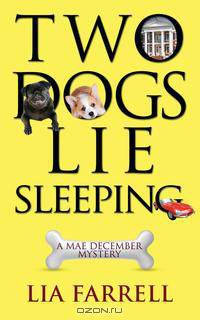 Two Dogs Lie Sleeping