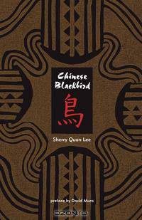 Chinese Blackbird