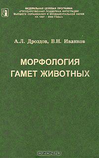 Морфология гамет животных