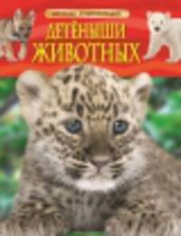 Детеныши животных. Детская энциклопедия