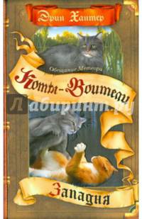 Обещание Метеора. Книга 1. Западня