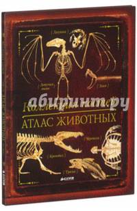 Коллекция костей. Атлас животных 206