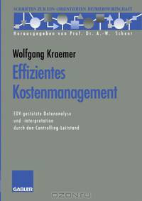 Effizientes Kostenmanagement: EDV-gestutzte Datenanalyse und -interpretation durch den Controlling-Leitstand (Schriften zur EDV-orientierten Betriebswirtschaft) (German Edition)