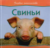 Свиньи
