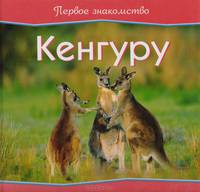 Кенгуру