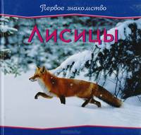 Лисицы