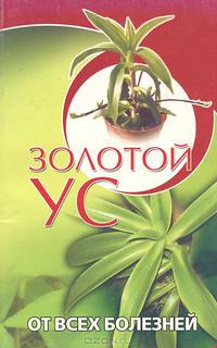 Золотой ус