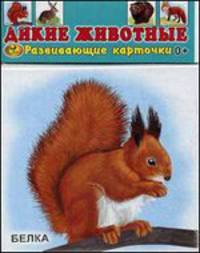 Развивающие карточки. Дикие животные. 12 карточек