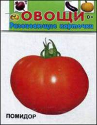 Развивающие карточки. Овощи. 12 карточек