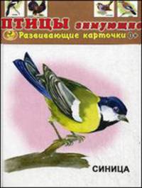 Развивающие карточки. Птицы зимующие (12 карточек)