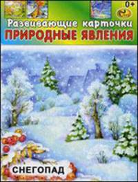 Развивающие карточки. Природные явления. Снегопад (12 карточек)