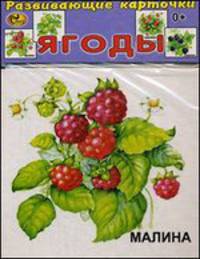 Развивающие карточки. Ягоды. 13 карточек