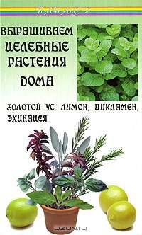Виктор Казьмин: Выращиваем целебные растения дома: Золотой ус, лимон, цикламен, эхинацея