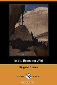 In the Brooding Wild (Dodo Press)