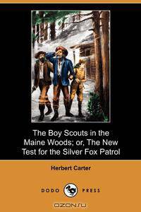 The Boy Scouts in the Maine Woods; Or, the New Test for the Silver Fox Patrol (Dodo Press)