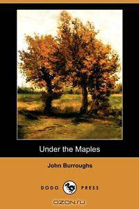 Under the Maples (Dodo Press)