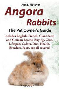 Angora Rabbits A Pet Owner