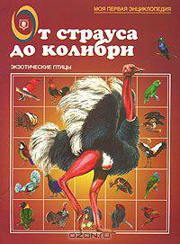 От страуса до колибри. Экзотические птицы