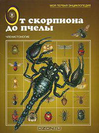 От скорпиона до пчелы. Членистоногие