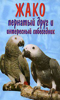 Жако. Пернатый друг и интересный собеседник