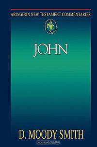 Abingdon New Testament Commentary - John
