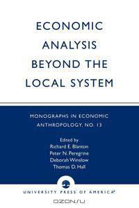 Economic Analysis Beyond the Local System