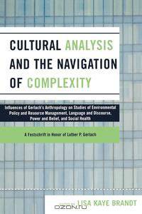Cultural Analysis and the Navigation of Complexity