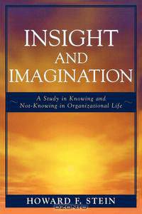 Insight and Imagination