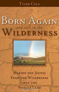 Born Again and Still in the Wilderness