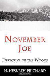 November Joe