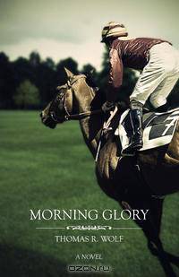 Morning Glory