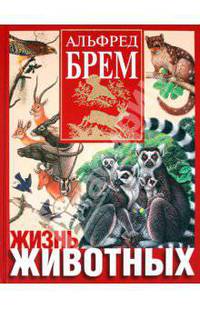 Жизнь животных.