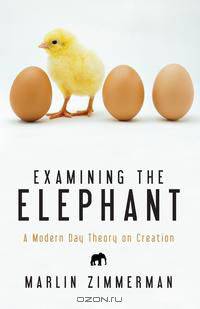 Examining the Elephant