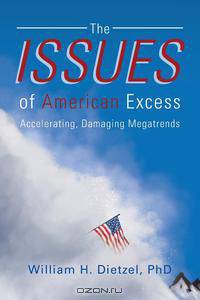 The Issues of American Excess
