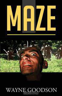 Maze