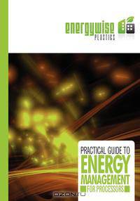 A Practical Guide to Energy Management for Processors