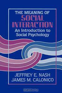 Meaning of Social Interaction