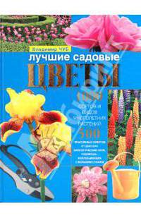 Лучшие садовые цветы