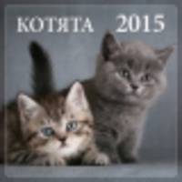 Котята. Настенный календарь на 2015 год