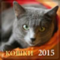 Кошки. Календарь настенный на 2015 год