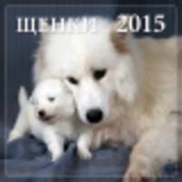 Щенки. Календарь настенный на 2015 год