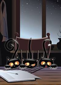 Блокнот для записей "Кошки" под А6